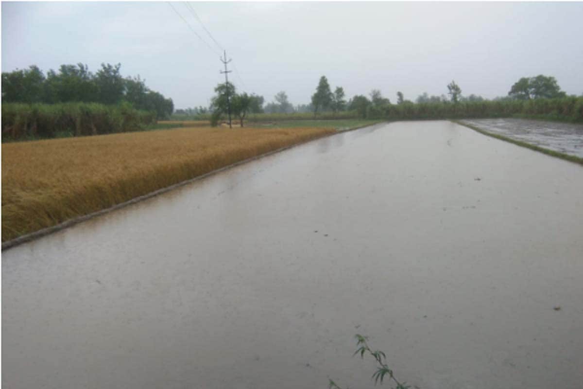 rain and hailstorms made farmers crops soaked in the field in many district of western UP