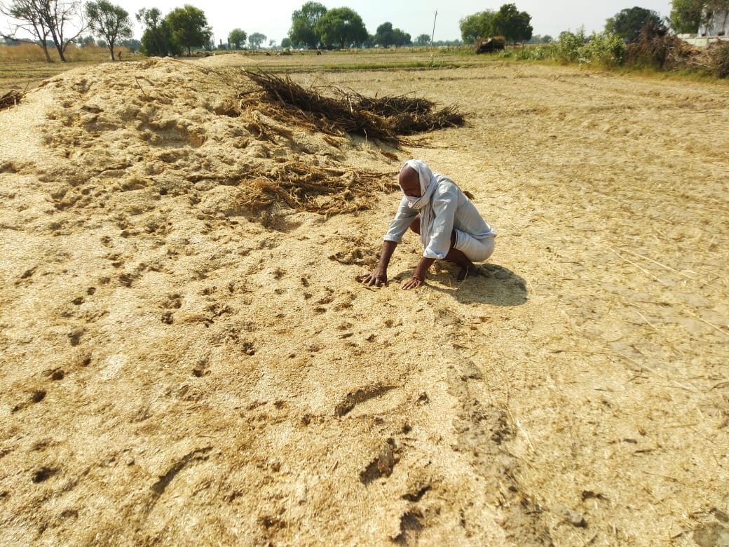 agriculture