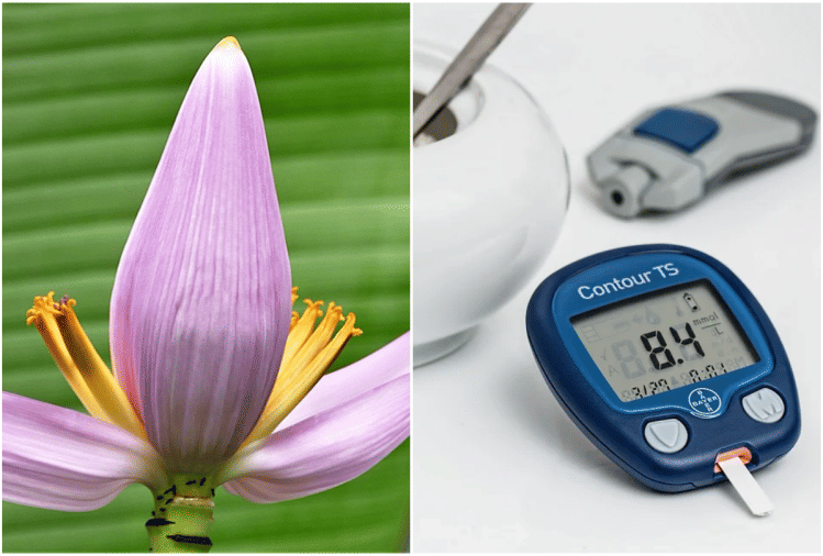 5 Health Benefits Of Banana Flower For Diabetes Treatment Amar Ujala