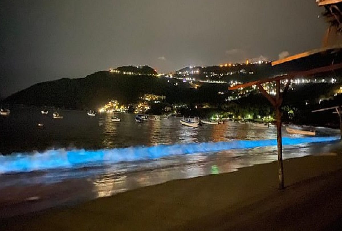 Mexico Acapulco beach waves light up with bioluminescent plankton for the first time after 60 years in Lockdown