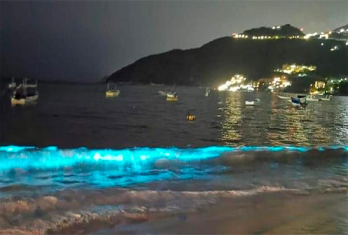 Mexico Acapulco beach waves light up with bioluminescent plankton for the first time after 60 years in Lockdown