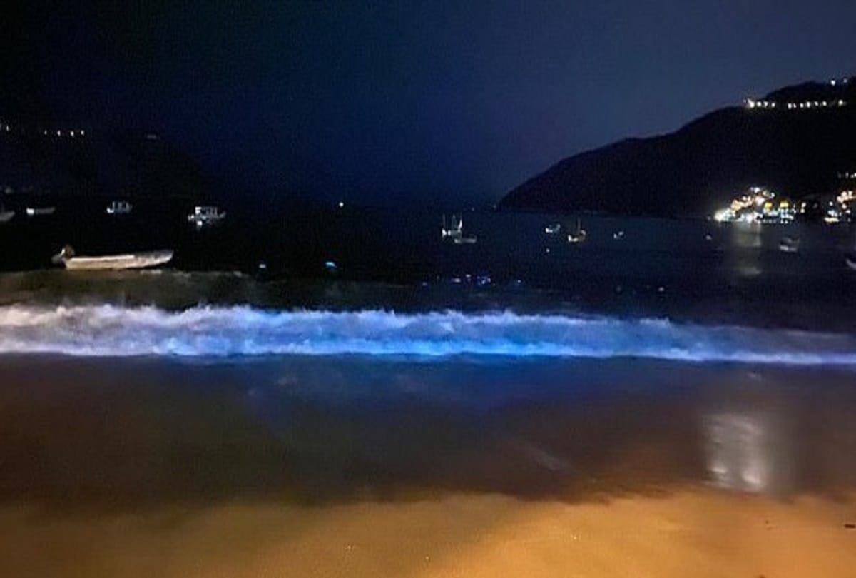 Mexico Acapulco beach waves light up with bioluminescent plankton for the first time after 60 years in Lockdown