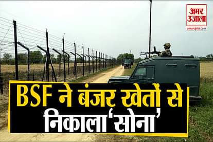 bsf  do farming of wheat barren land in rs pora sector jammu kashmir