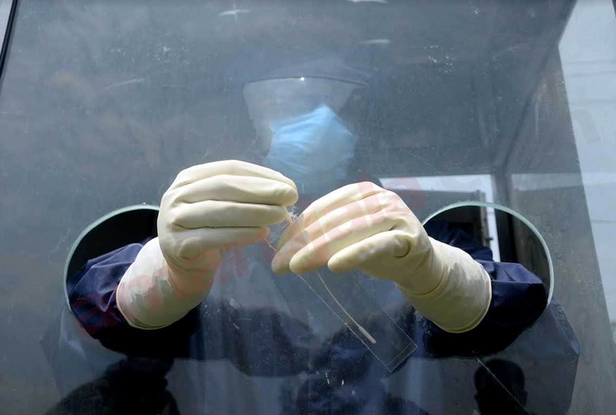 Coronavirus in Jammu Kashmir (J&K) news in Hindi, Search begins for those involved in corona infected pregnant's funeral