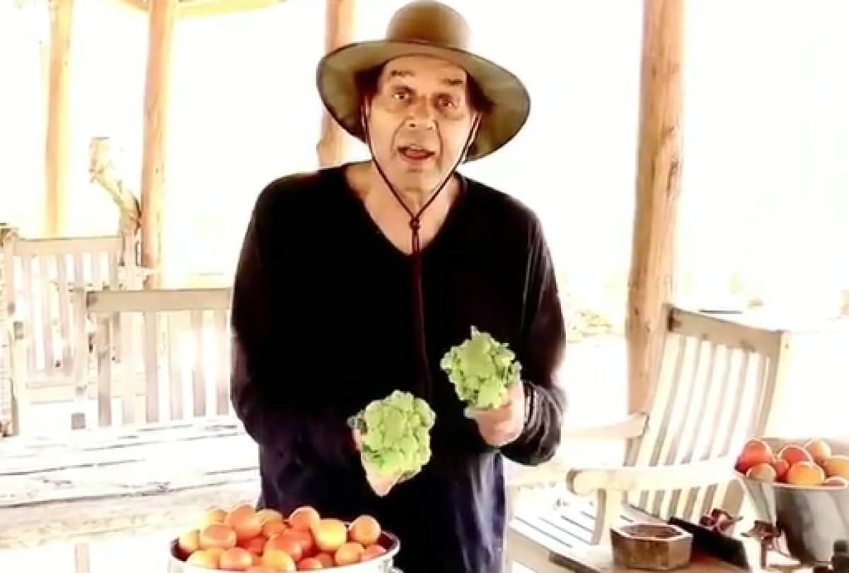 Dharmendra use wood stove for cooking food shared video