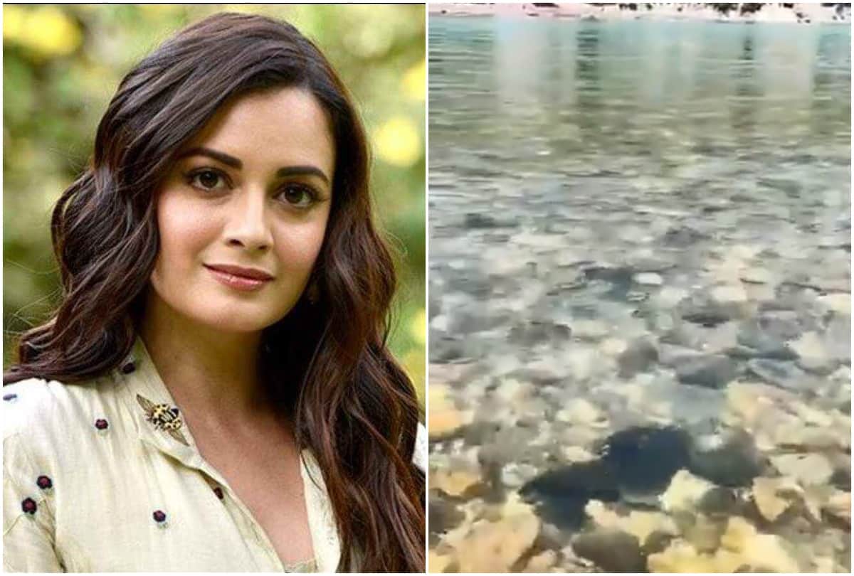 Actress Dia Mirza Shared Crystal Clear Water Video of River Ganga Says its Lockdown Effect