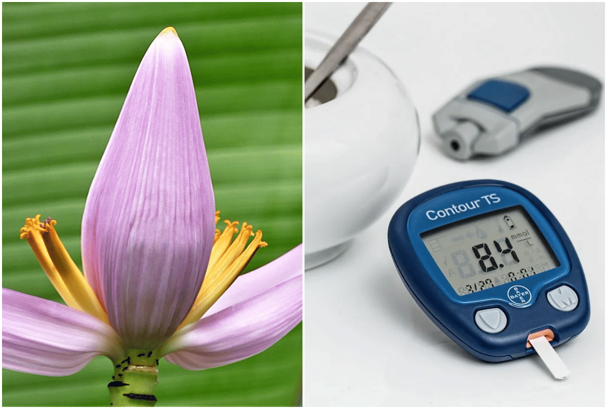 5 health benefits of banana flower for diabetes treatment