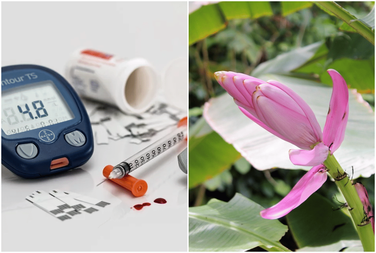 5 health benefits of banana flower for diabetes treatment