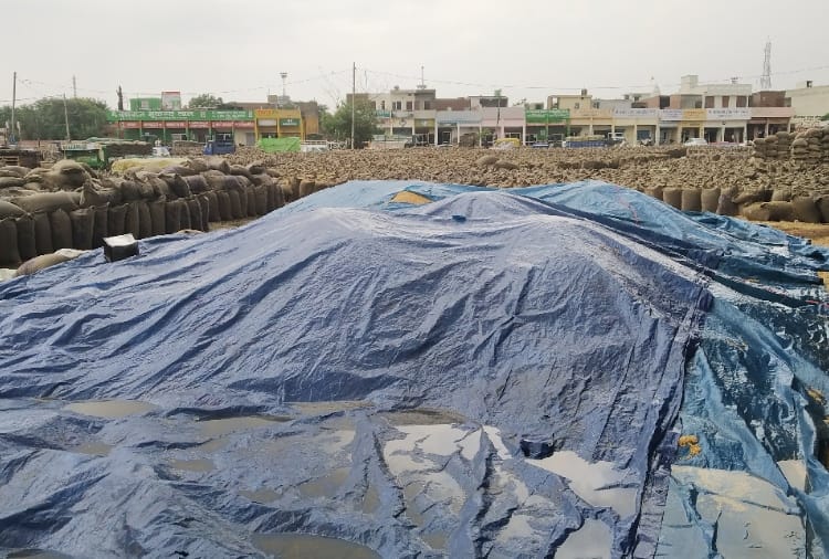 Weather update in Haryana: There will be rain in Haryana by the end of April
