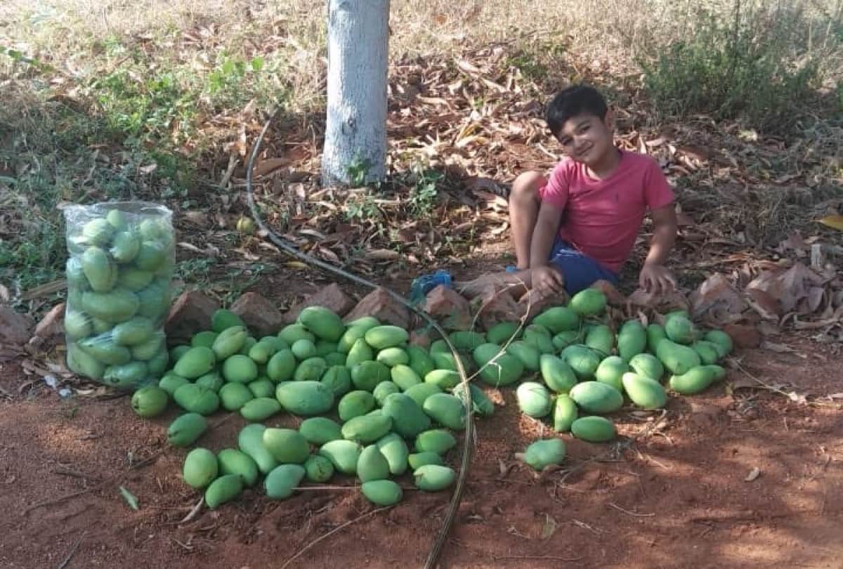 Lockdown India Latest News Update Today Prakash Raj Son Vedant Selling Mango