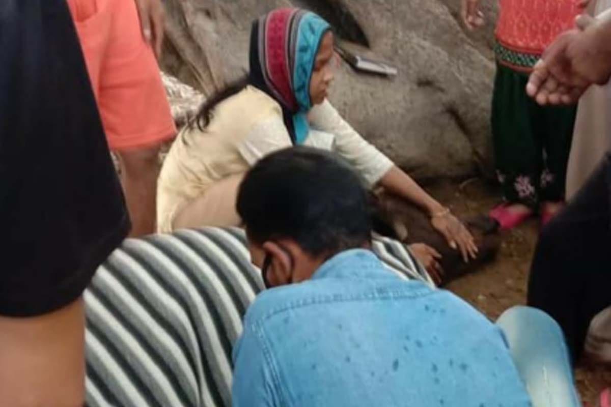 Lightning fell at many places in Saharanpur amid rain, many animals scorched