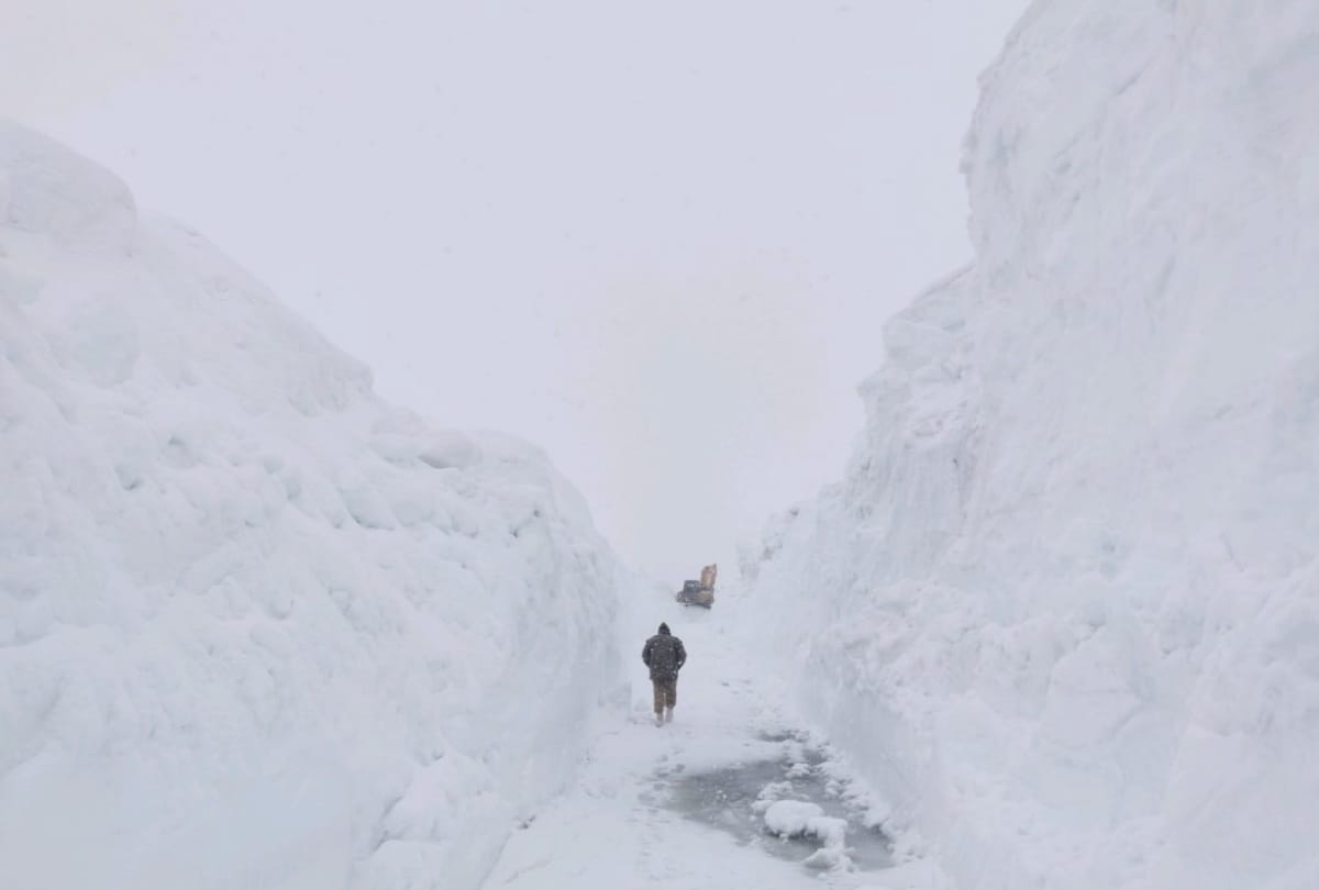 fresh snowfall recorded on the peaks and rohtang pass in himachal pradesh