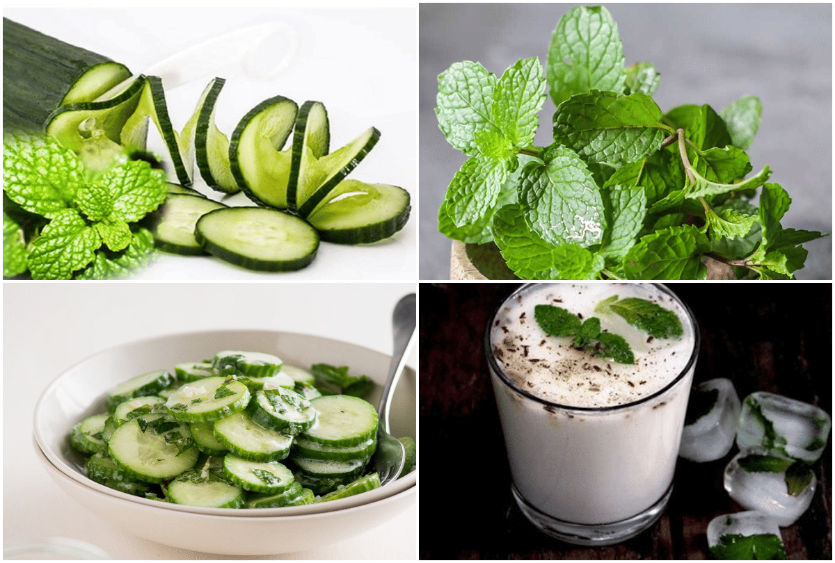 summer season 2 dishes for avoid dehydration and keep energetic