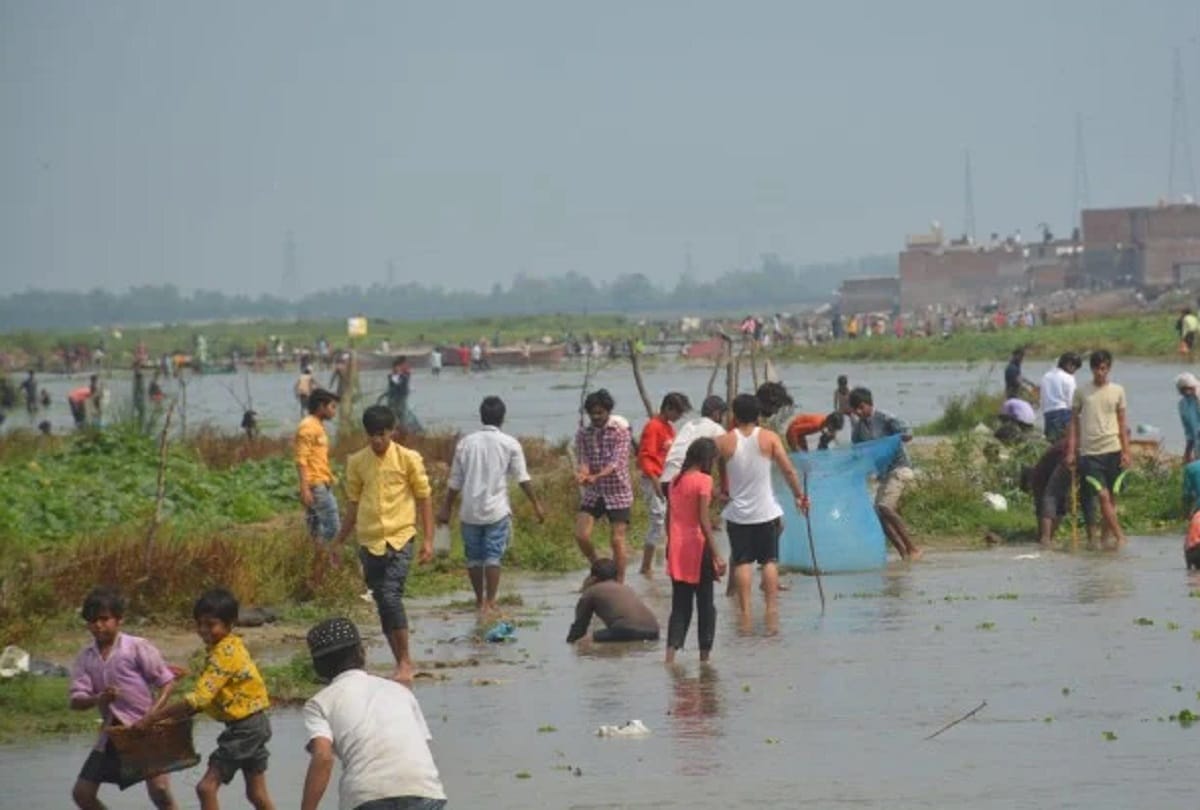 fishes died, someone through chemical in ramganga