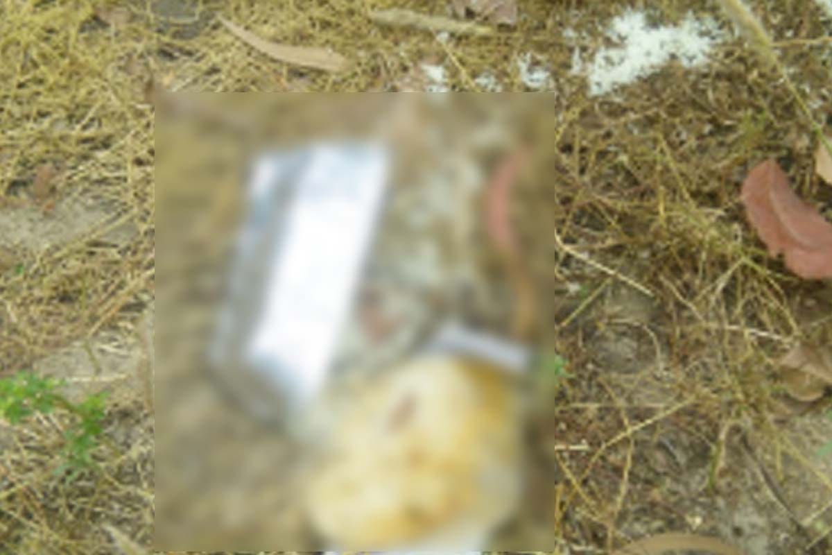 quarantine people are throwing away meal
