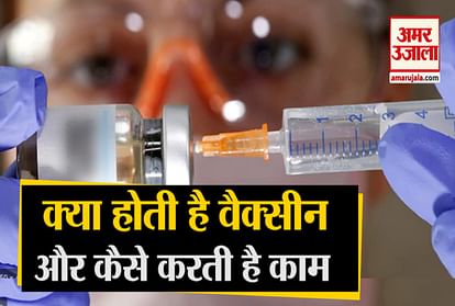Vaccine is very helpful in fighting a disease, Know how does it work