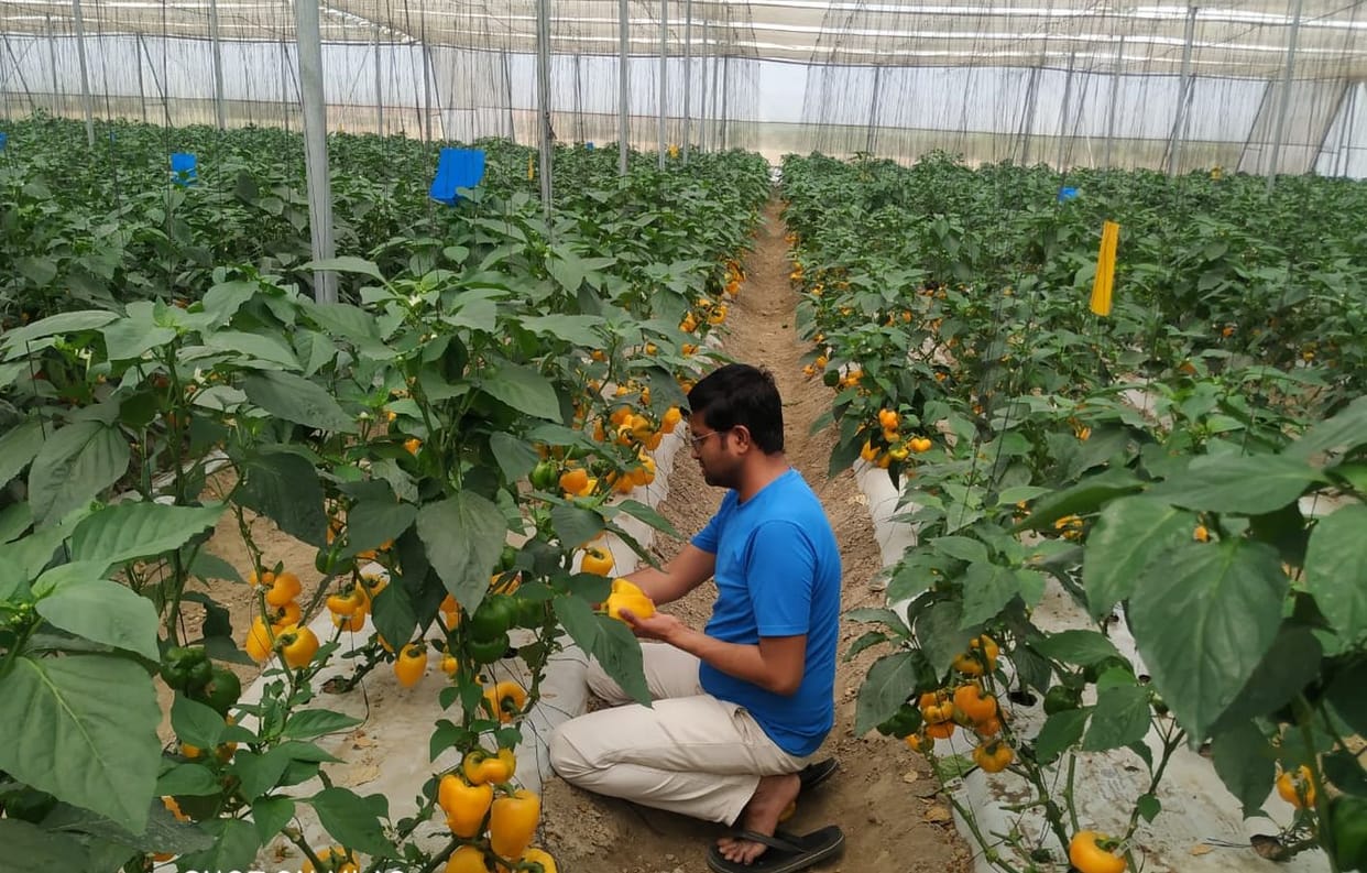 agriculchure