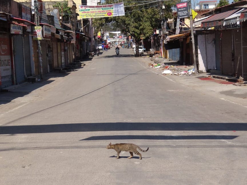 Coronavirus uttarakhand: Rishikesh Public in Fear after 4 corona positive found in 3 days, photos