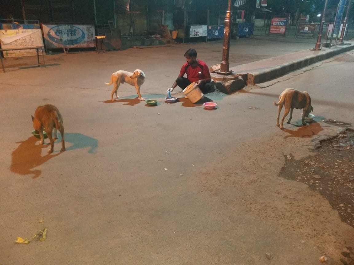 they leave the home only food serve for dog