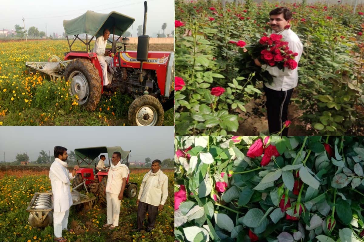 Flower farming wasted in lockdown, farmers run tractor on many acres land