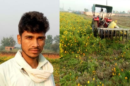 Farmers drove tractors on crops standing on several hundred bighas of land