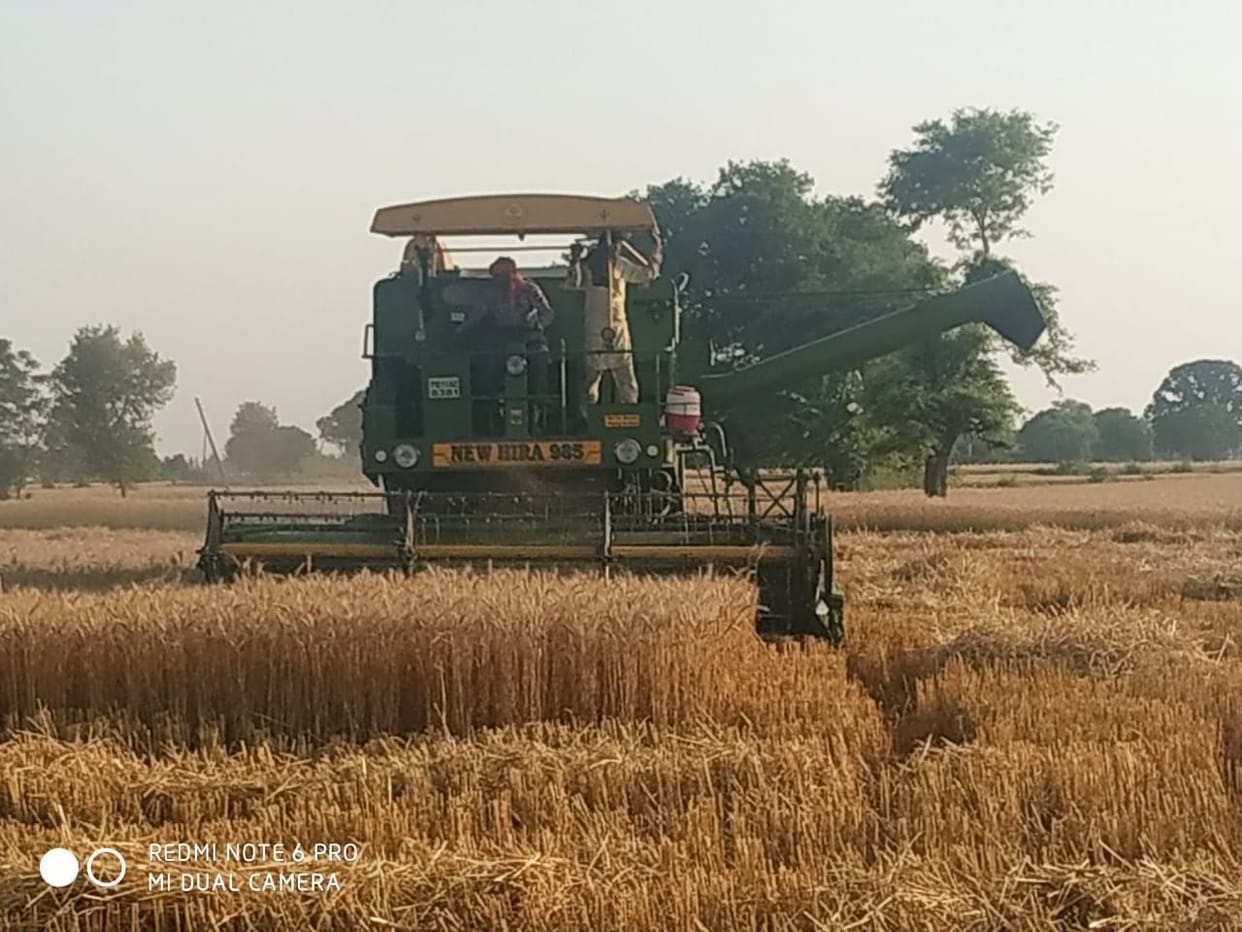 agriculture