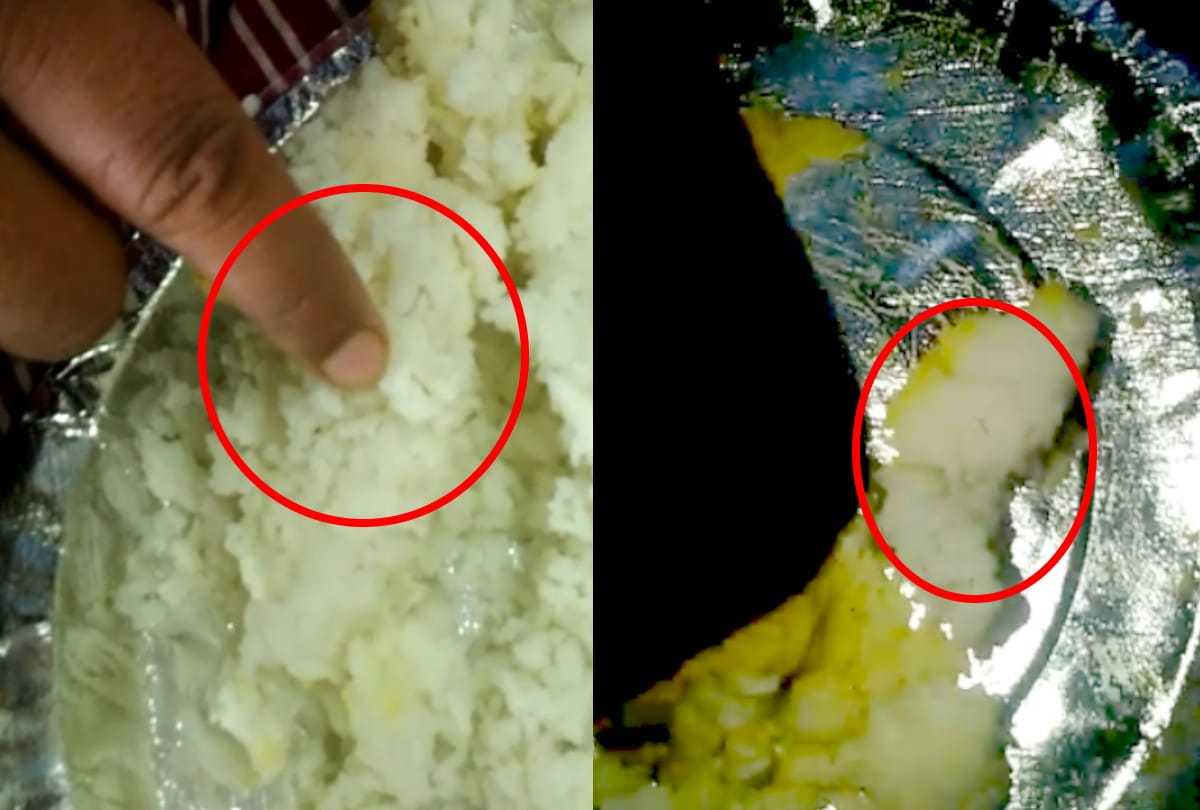 Insects found in food of Quarantine Center at Siddharthnagar