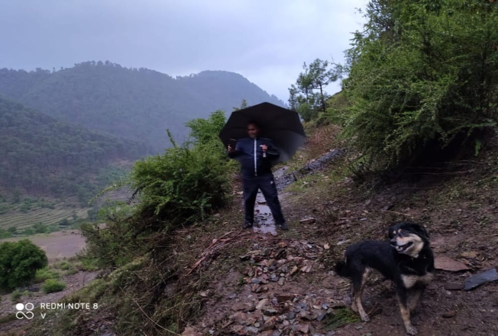 Uttarakhand weather: Extreme Rainfall destroyed crops in uttarkashi, debris and boulders on road