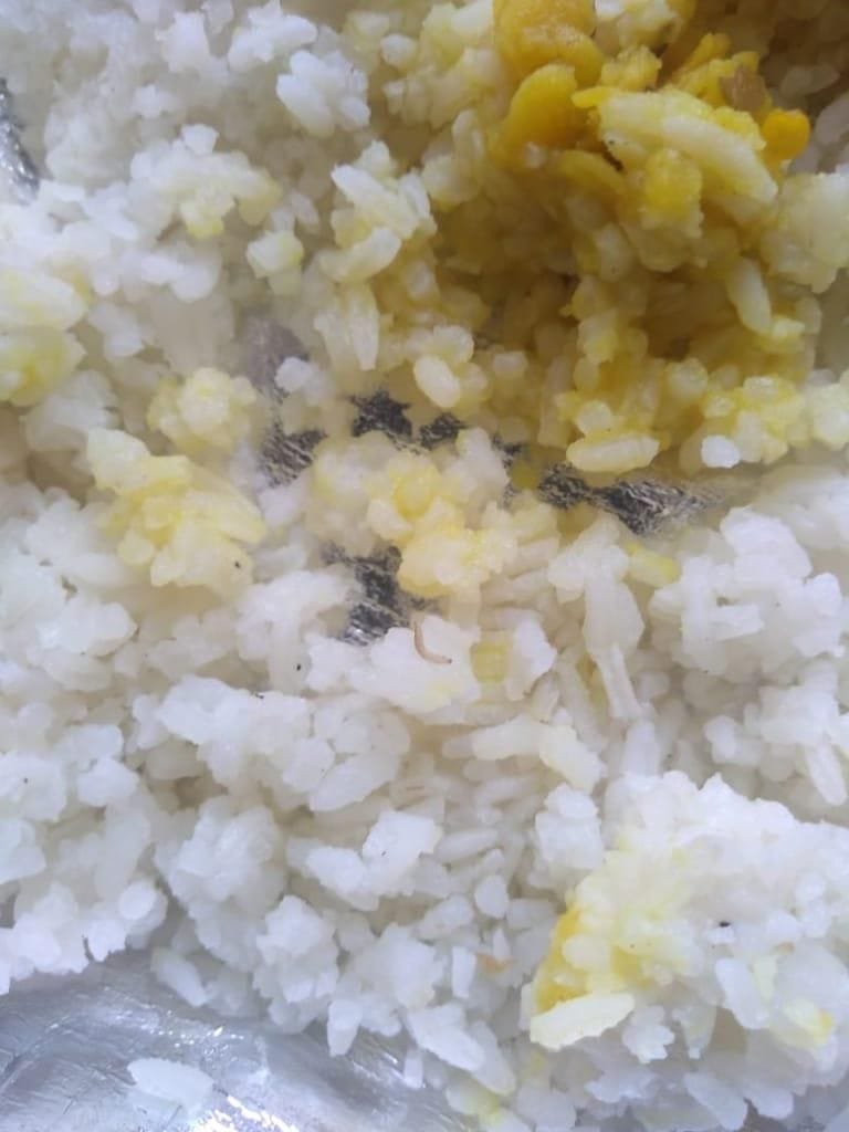 bacteria found in rice