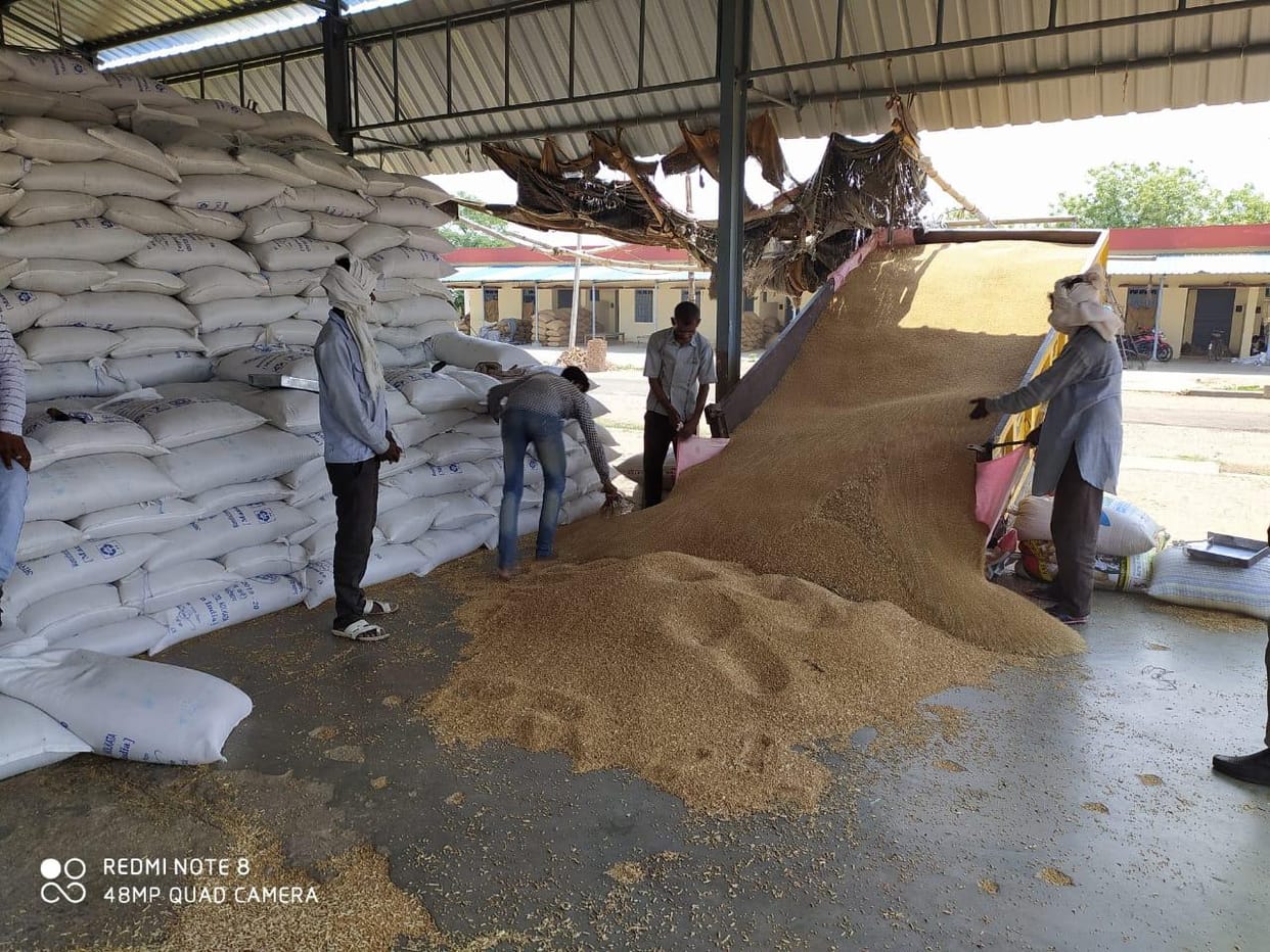 The purchase of gunny bags ends, farmers upset