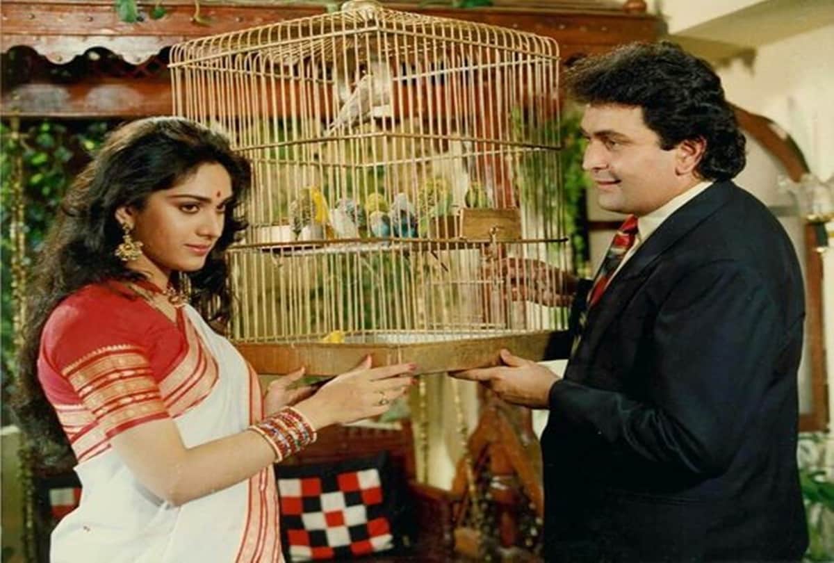 This day that year series by Pankaj Shukla 30 april 1993 bioscope damini rishi Kapoor sunny deol Meenakshi Sheshadri