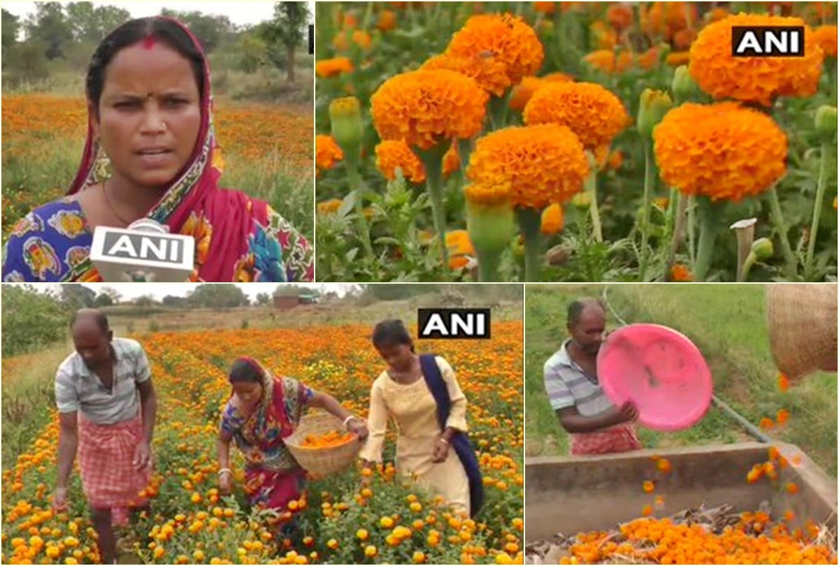 coronavirus six months flower market and band wallahs lost work all in distress