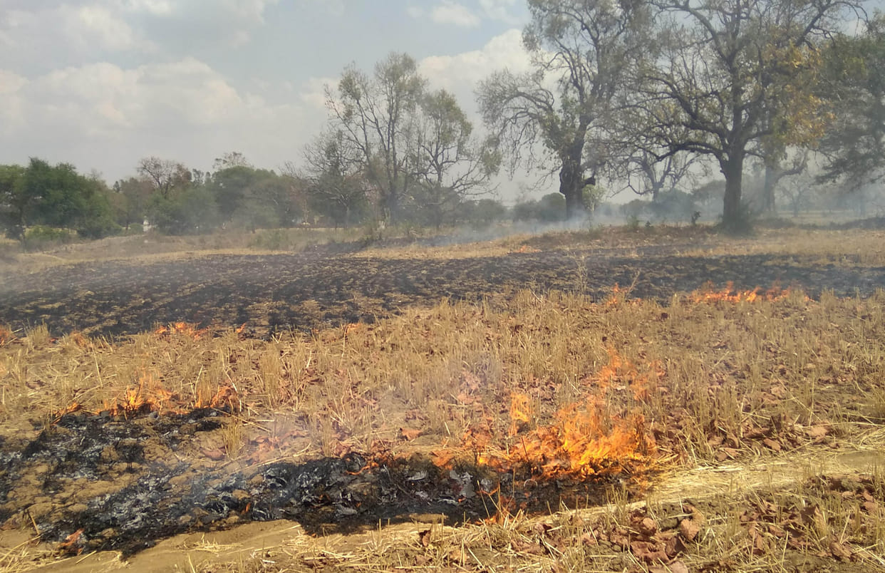 Farmer does not agree crop burn