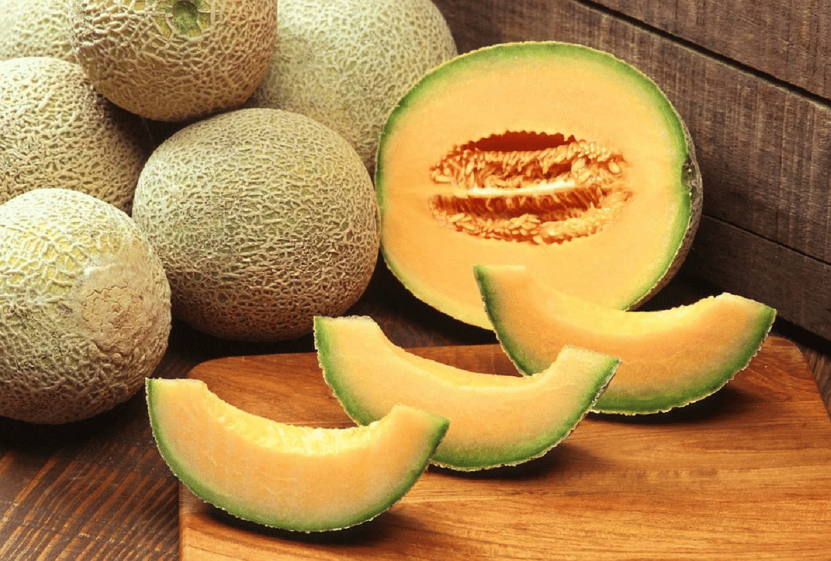 summer season tips 5 health benefits of muskmelon for reduce obesity
