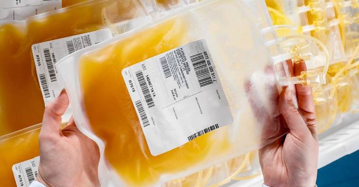 coronavirus plasma therapy importance significance in covid 19 treatment who can donate plasma rule and guidelines