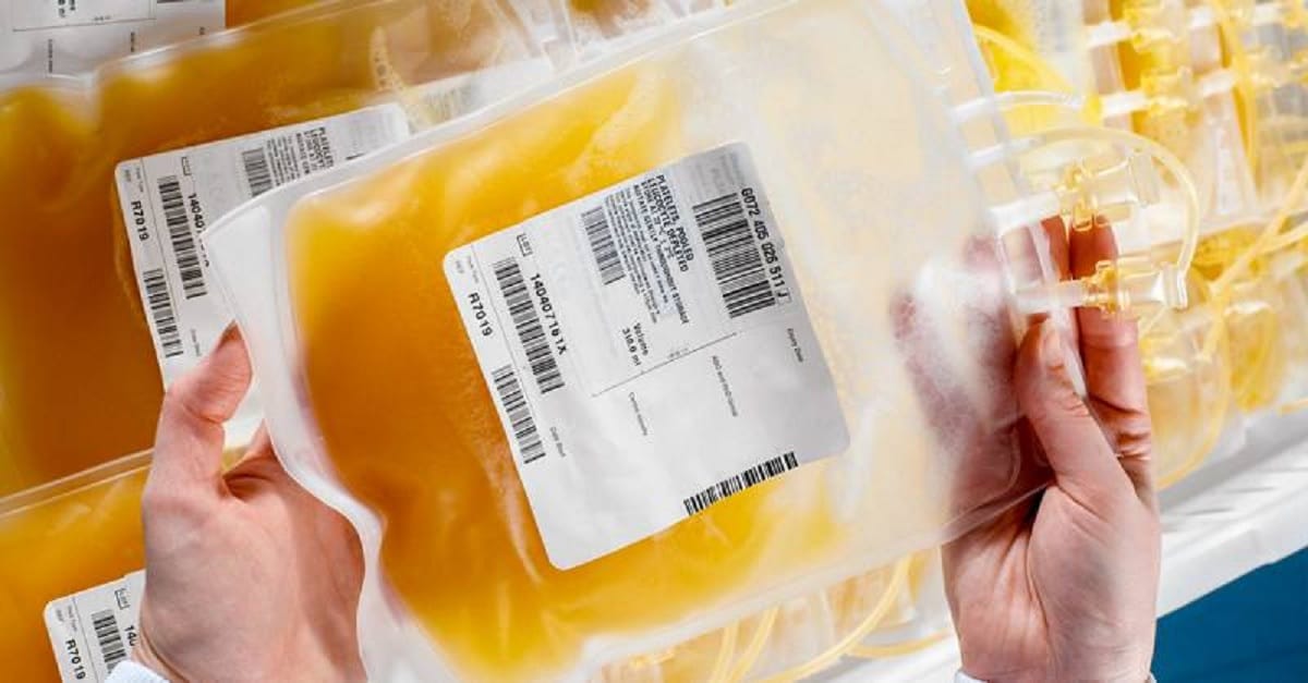 coronavirus plasma therapy importance significance in covid 19 treatment who can donate plasma rule and guidelines