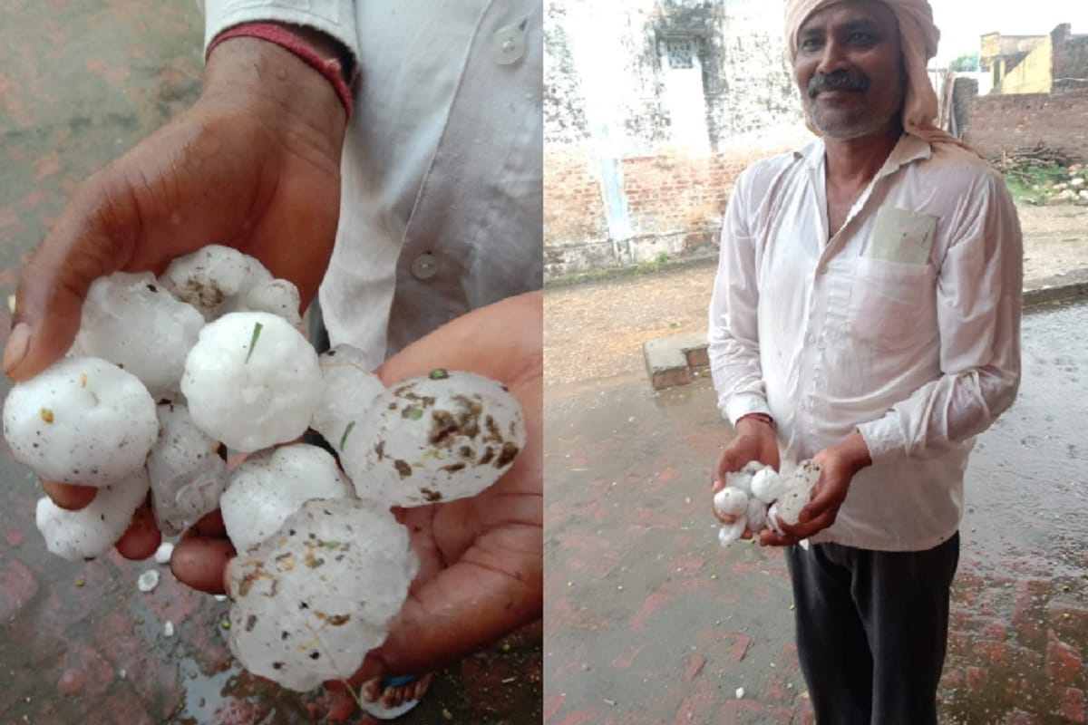 There was rain and hail in Saharanpur and the wheat crop has suffered heavy losses