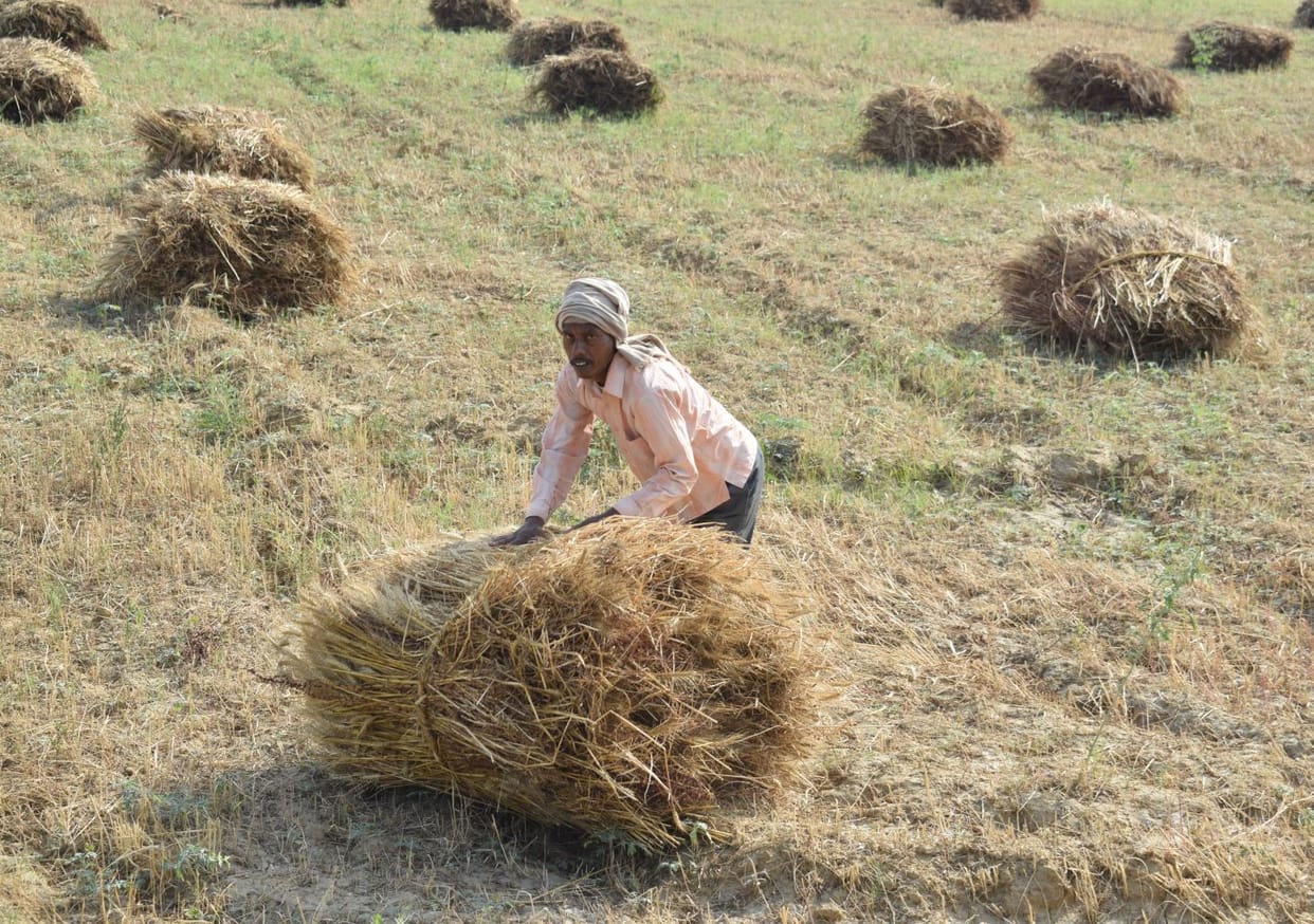 agriculchure