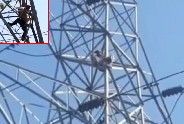 A labourer climbed on the electric tower in Amritsar