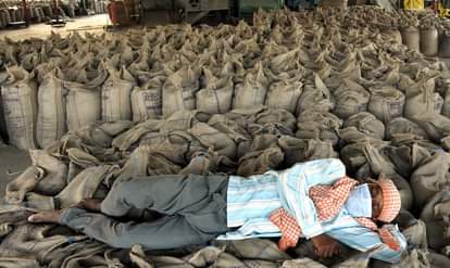 बेरोजगारी दर में उछाल आया ( फाइल फोटो)