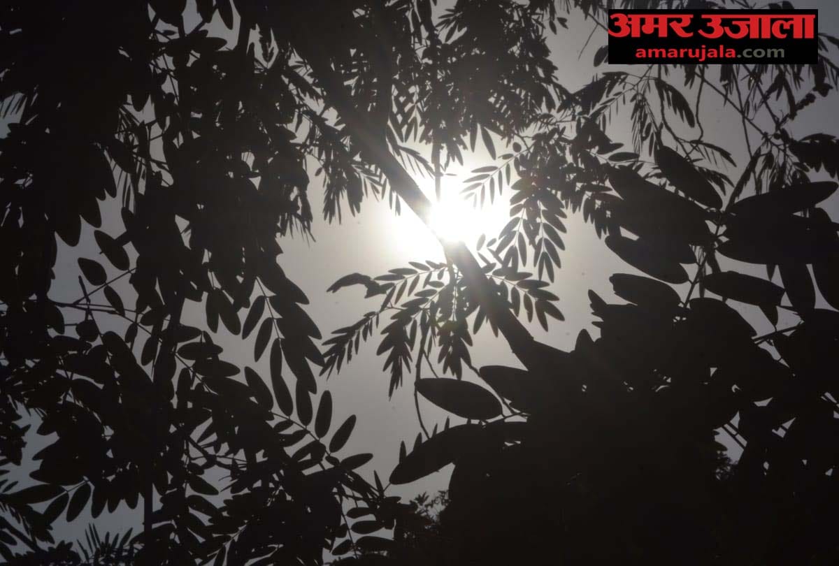 weather report today, weather department prediction, rain in these cities of UP, rain news