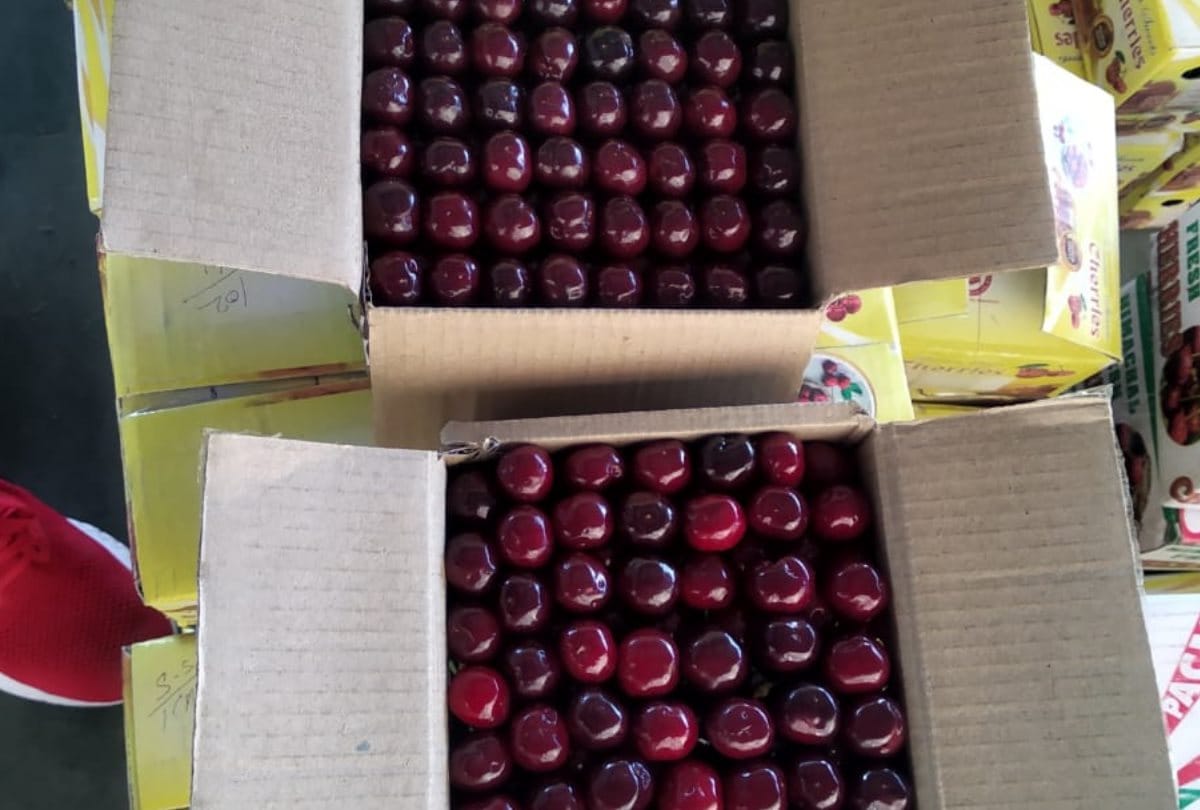 Big basket will buy cherry crop from farmers in shimla himachal pradesh