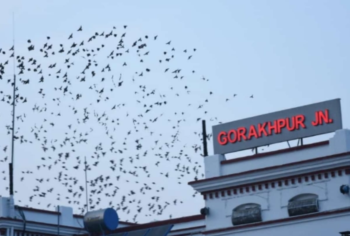 World longest platform NER Gorakhpur railway station special story during lockdown