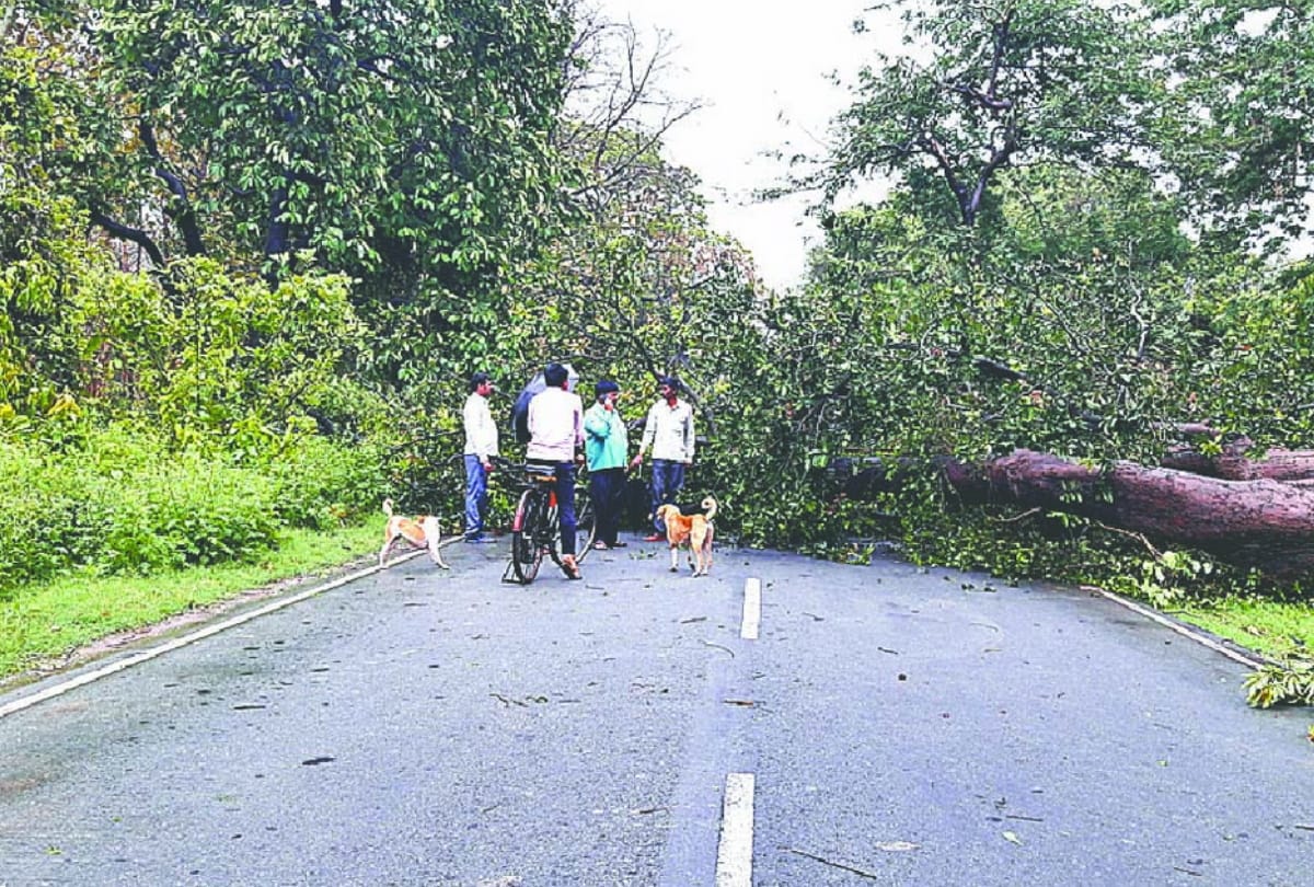 Five People died due to heavy rain and Lightning fall in gorakhpur mandal