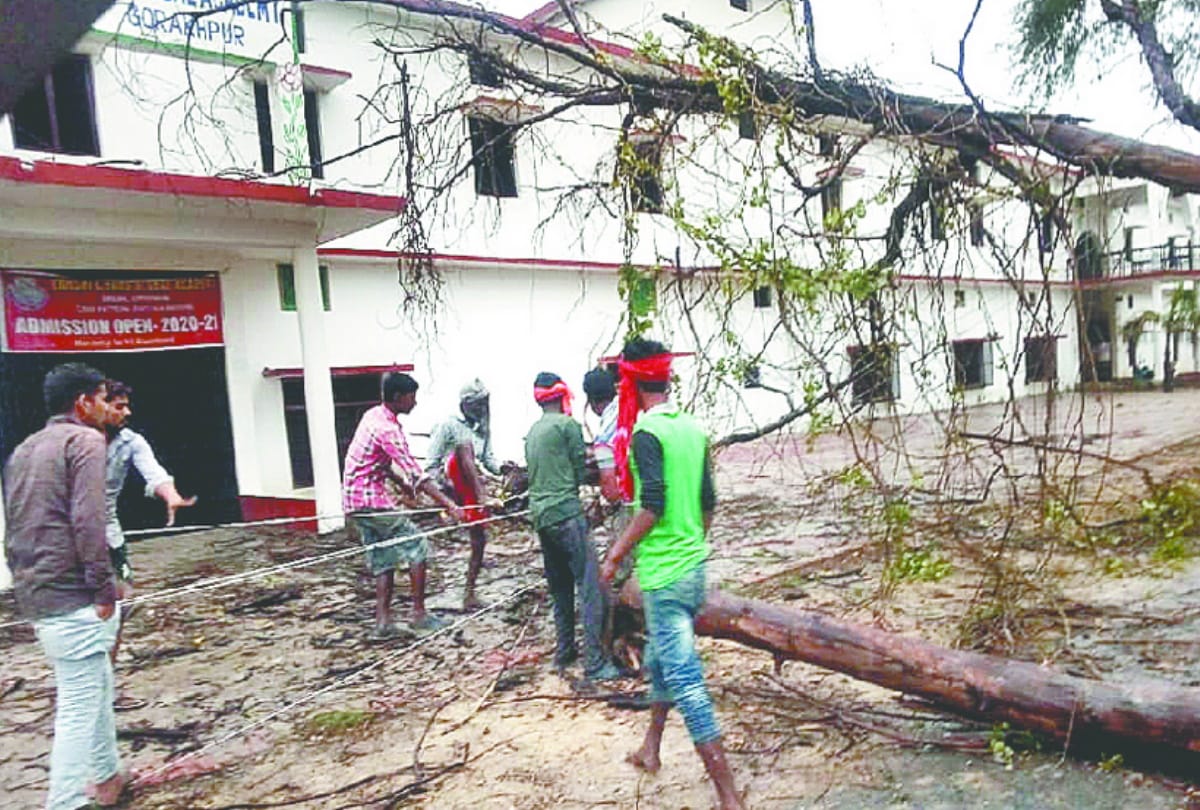 Five People died due to heavy rain and Lightning fall in gorakhpur mandal