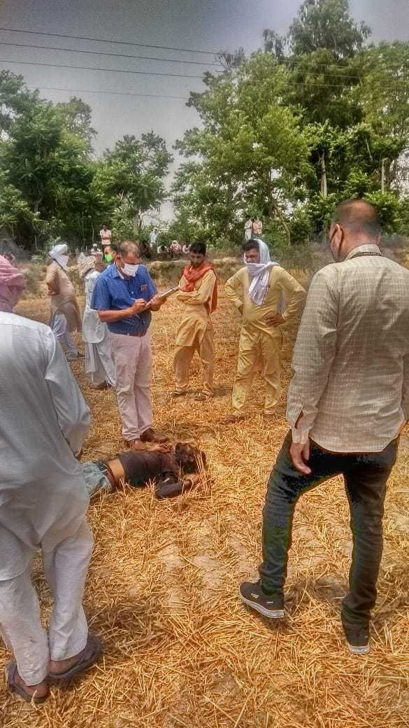 youth murdered by slapping