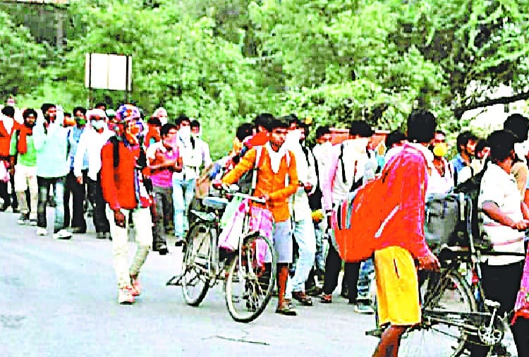 Coroanvirus, Lockdown, Chandigarh Administration Released Helpline for Migrant Workers, Students and Tourist