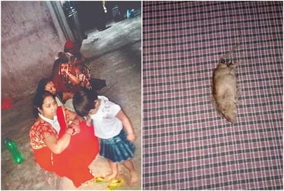 Dirt at Quarantine Center in Prayagraj, dead rat in bed