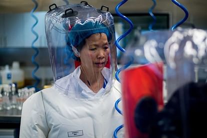 China's Batwoman Shi Zhengli reports claimed that Corona virus can knock again