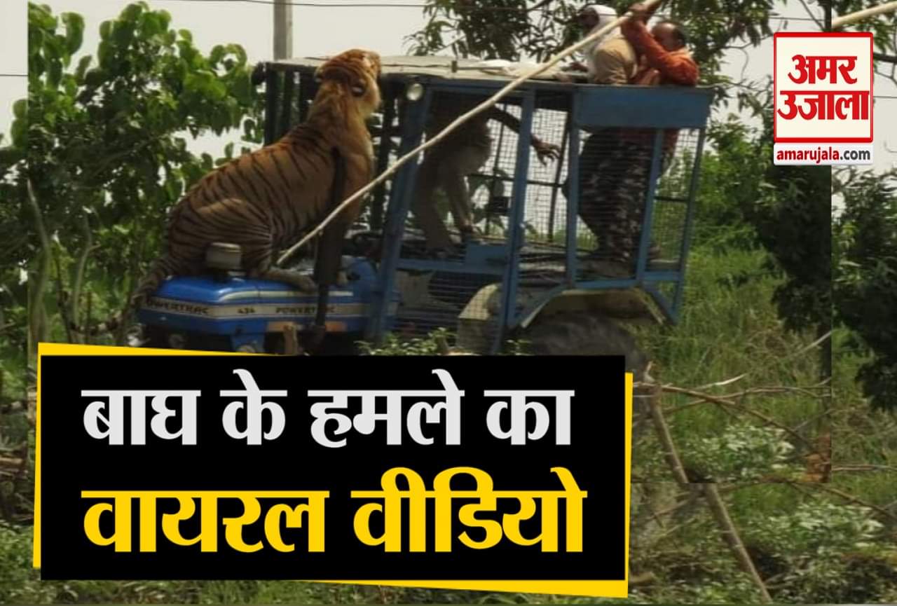 वायरल वीडियो